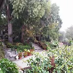 农家乐 Carretiello *