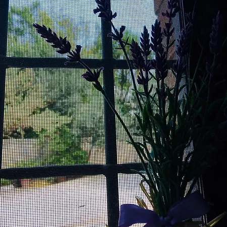 Carretiello * Roccadaspide