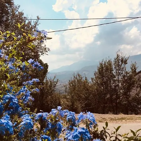 Carretiello *