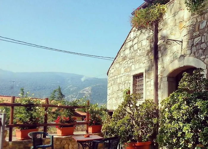 农家乐 Carretiello *